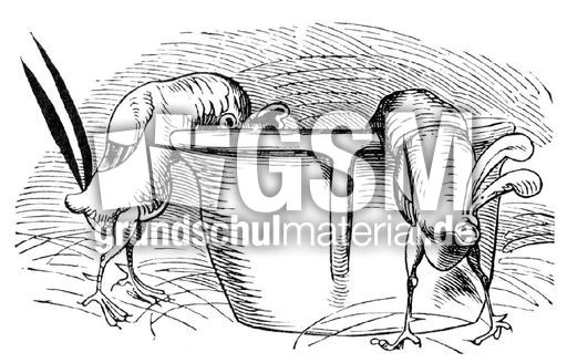 Hahnenkampf sw 03.jpg